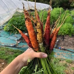 Les jardins du pré d'ambres #1