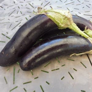 Aubergine de Barbentane