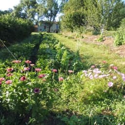 La ferme du jardin de pluie #2