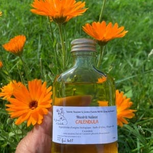 macération huileuse au calendula