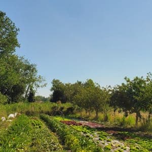 L'exploitation #1