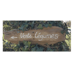 les bio légumes de Laëtitia #3