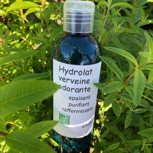 Verveine : Hydrolat