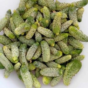 Cornichons frais