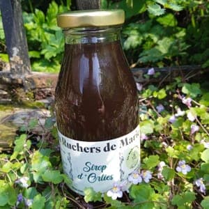 Sirop d'orties