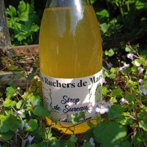 Sirop de Fleurs de Sureau