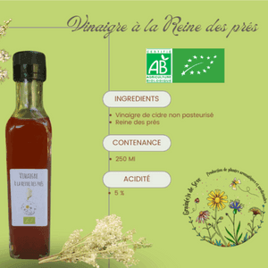 Vinaigre à la Reine des prés