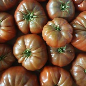 Tomates anciennes Noire de Crimée