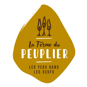 6 oeufs fermiers