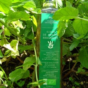 Sirop de menthe bergamote