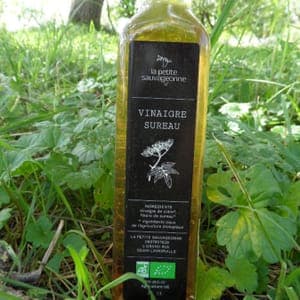 Vinaigre au sureau