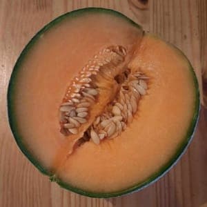 Melon