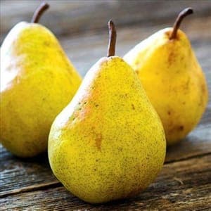 Poires Guyot Eurofruit