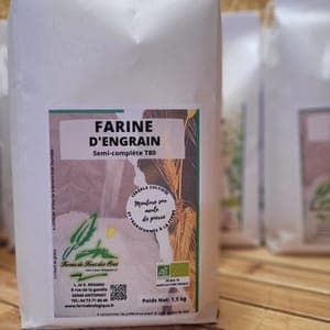 Farine d'Engrain (Petit Epeautre) T80