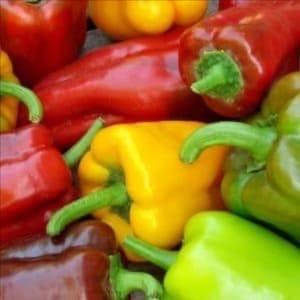POIVRONS COULEURS