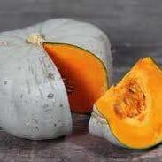 Courge bleue de Hongrie