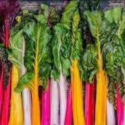 Blettes couleur