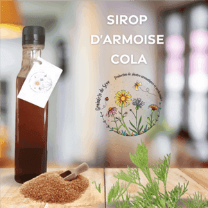 Sirop Armoise Cola (cola végétal)