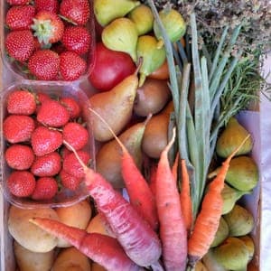 Panier d'avril BIO
