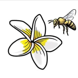 Les Ruchers Tamata apiculture #7