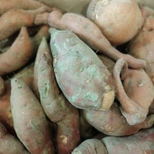 PATATE DOUCE