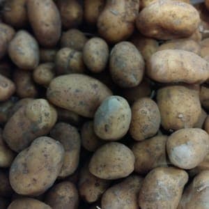 POMME DE TERRE NICOLA