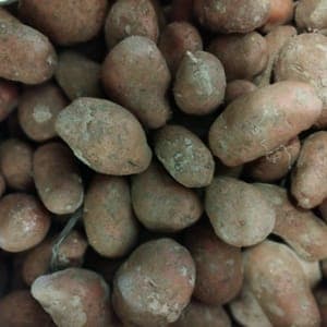 POMME DE TERRE ROSABELLE