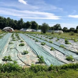 Le carcotier des 3 rivières #1