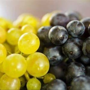 Raisin (blanc ou noir)