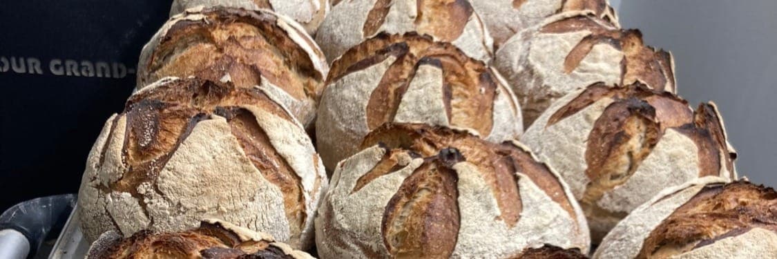 Bannière de Le petit Fournil de la Source