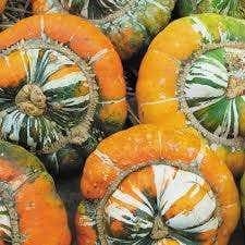 COURGE SULTAN