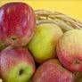pommes bio Ecolette