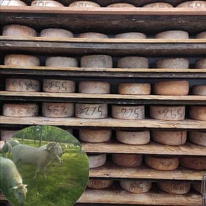 Fromage Affiné de Brebis