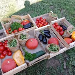 Le Potager du Coin #5