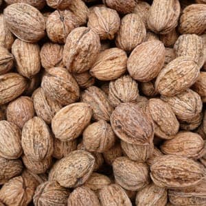 NOIX BIO