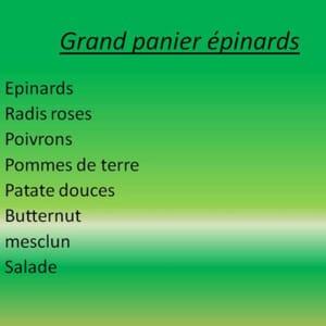 Grand panier épinards