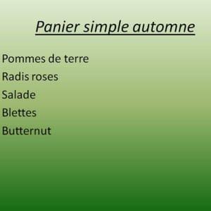 Panier simple automne