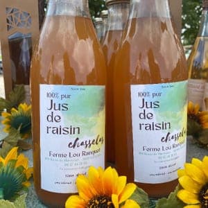 Jus de chasselas