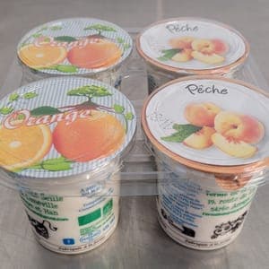 Yaourt aux Fruits Jaunes Lot de 4