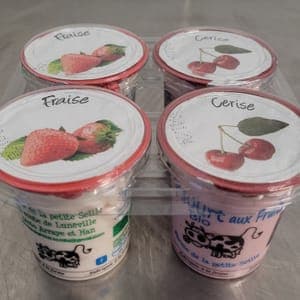 Yaourt aux Fruits Rouges Lot de 4