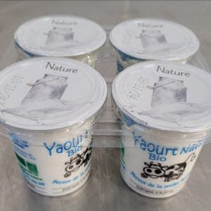 Yaourt Nature au Lait Entier Lot de 4