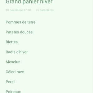 Grand panier hiver