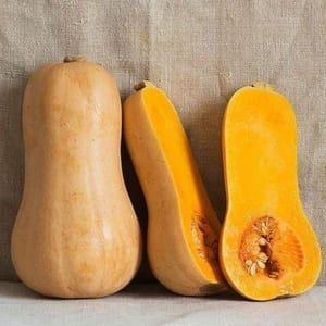 Courge butternut