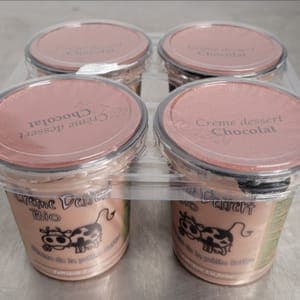Crème Dessert Chocolat Lot de 4