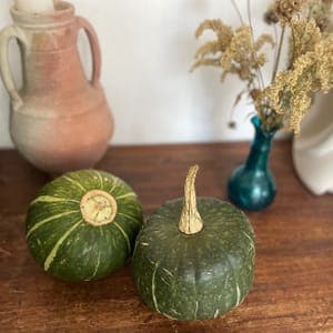 Courge