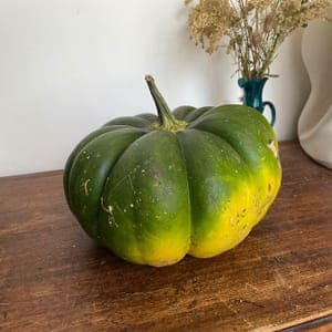 Courge