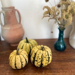 Courge