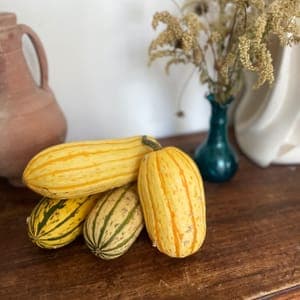 Courge