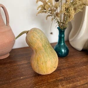 Courge