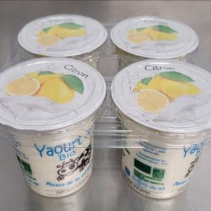 Yaourt Citron Lot de 4